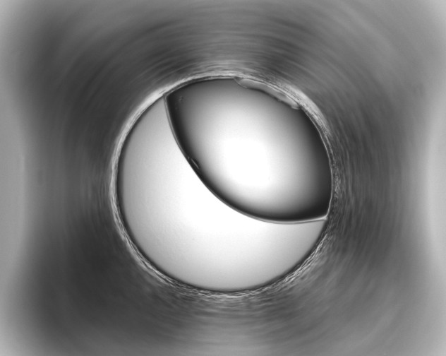 X0000096421144200801240958