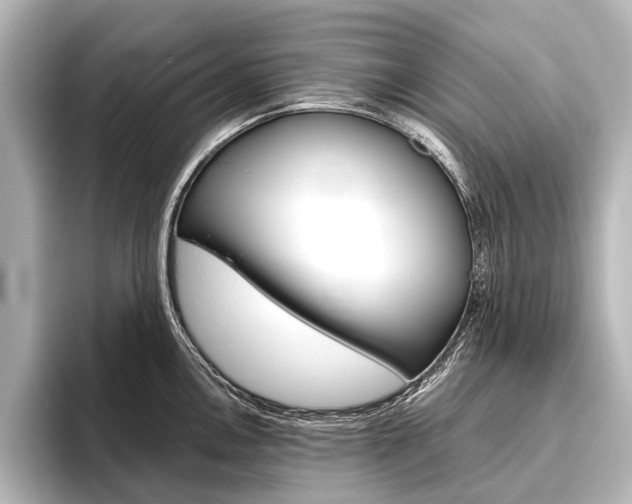 X0000096421146200801240958