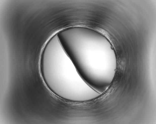 X0000096421147200801240958