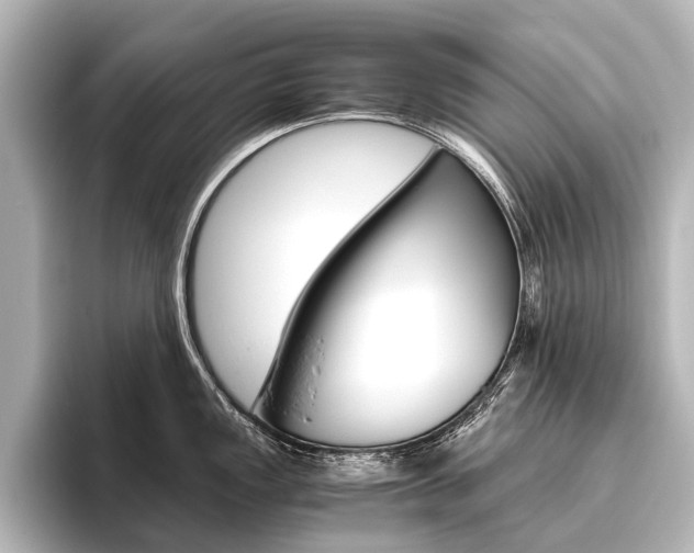 X0000096421149200801240958