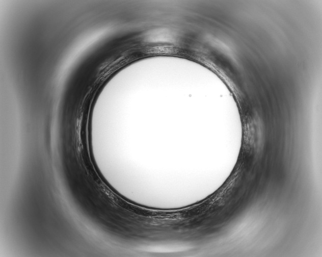 X0000096421150200801240958