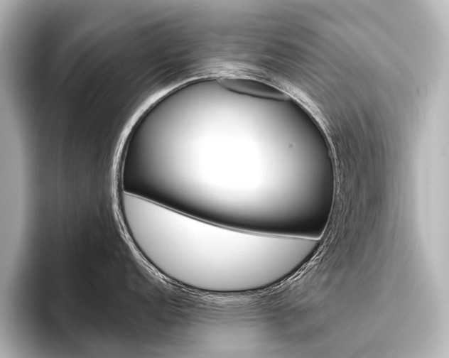 X0000096421152200801240958