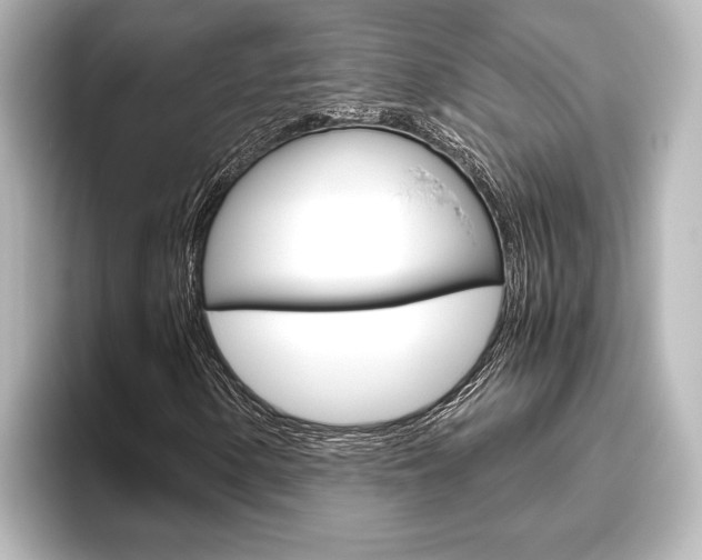 X0000096421154200801240958