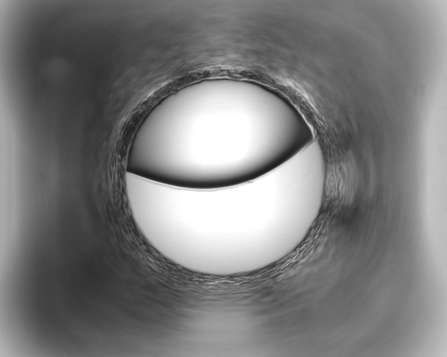 X0000096421159200801240958