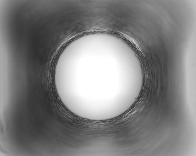 X0000096421160200801240958