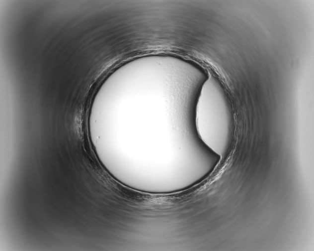 X0000096421162200801240958