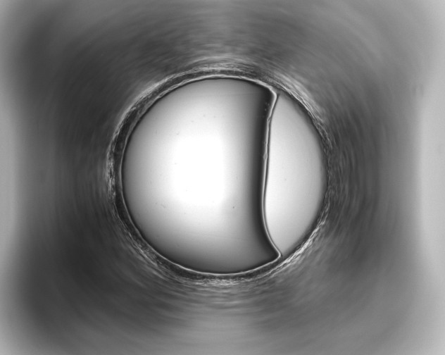 X0000096421164200801240957