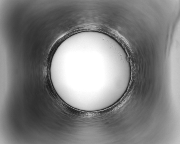 X0000096421166200801240957