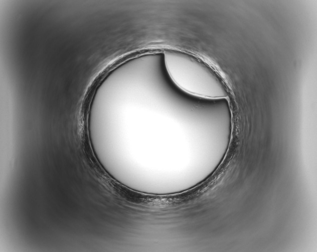 X0000096421167200801240957