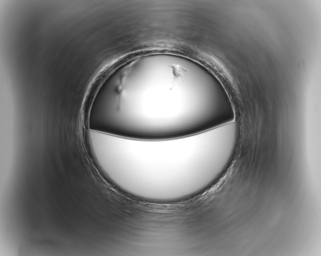 X0000096421172200801240957
