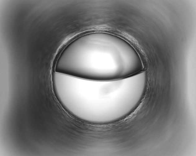 X0000096421176200801240957