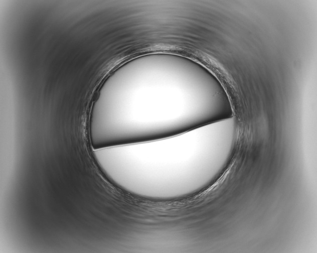 X0000096421177200801240957