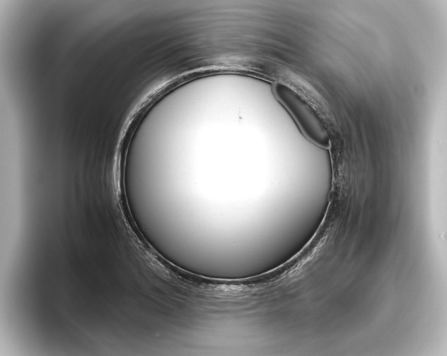 X0000096421180200801240957