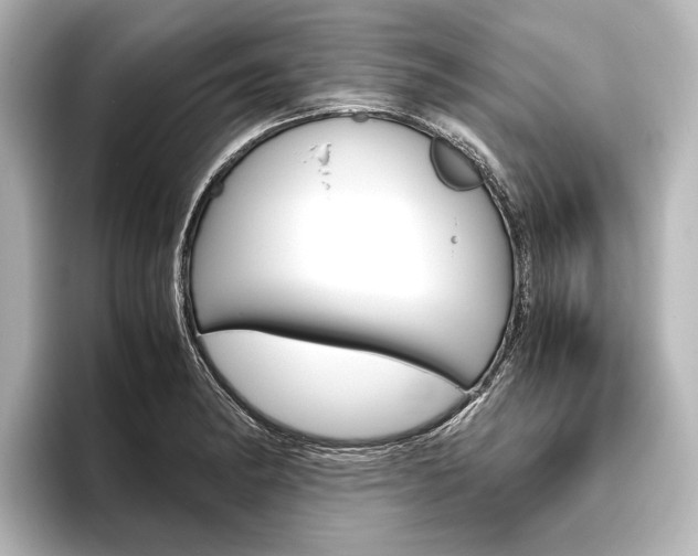 X0000096421182200801240957