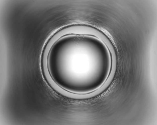 X0000096421183200801240957