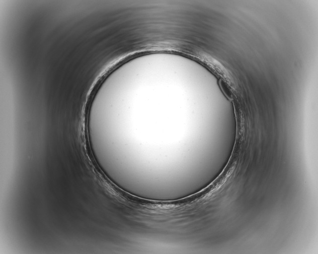 X0000096421184200801240957