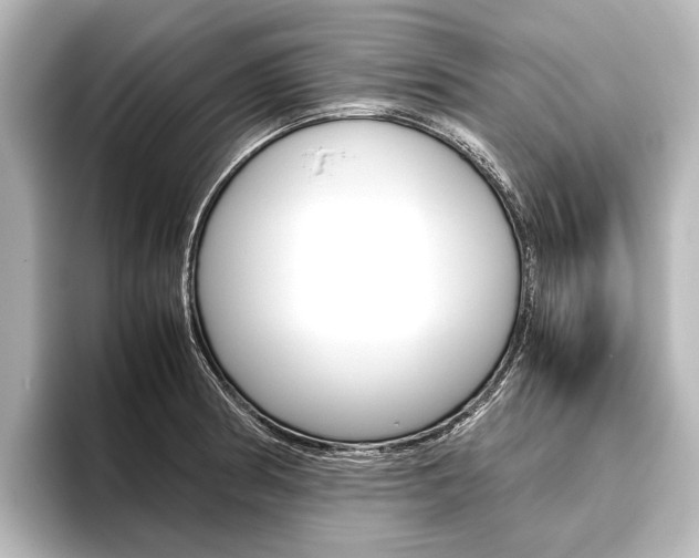 X0000096421186200801240957
