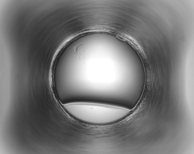 X0000096421188200801240957