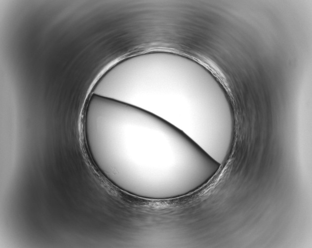 X0000096421190200801240957