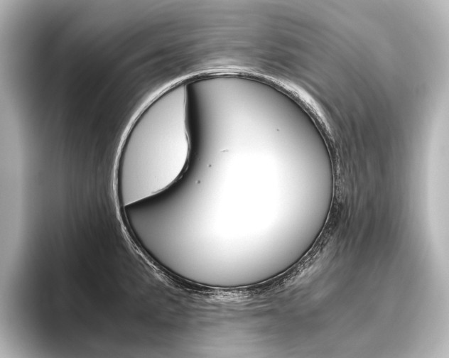 X0000096421191200801240957