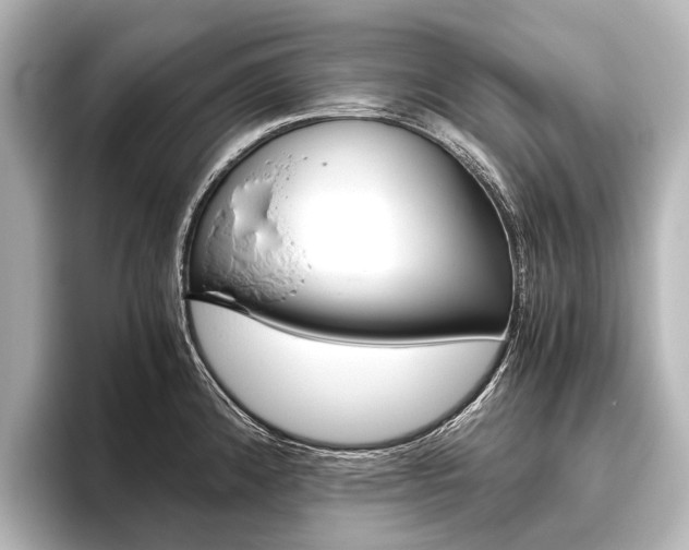 X0000096421192200801240957