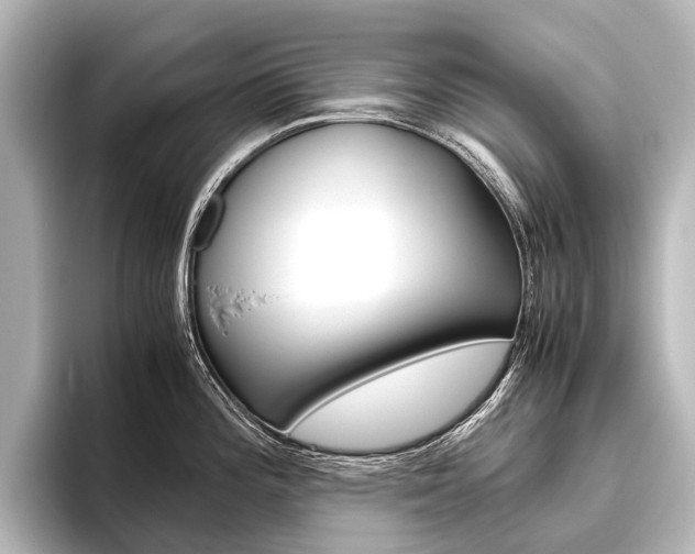 X0000096421196200801240957