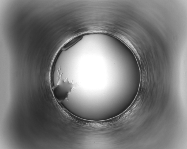 X0000096421197200801240957