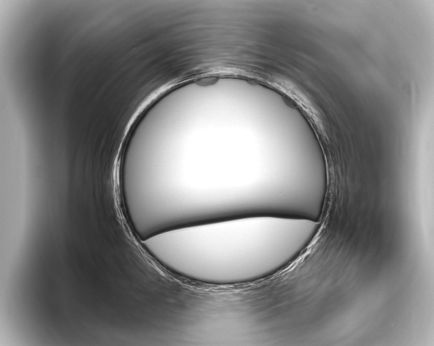 X0000096421198200801240957