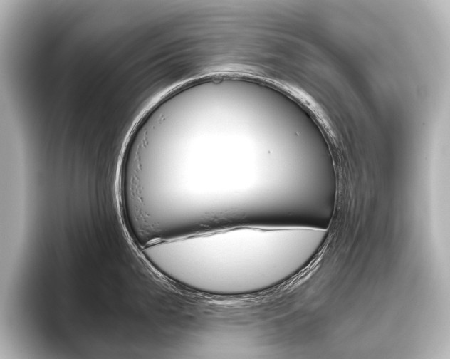 X0000096421199200801240957