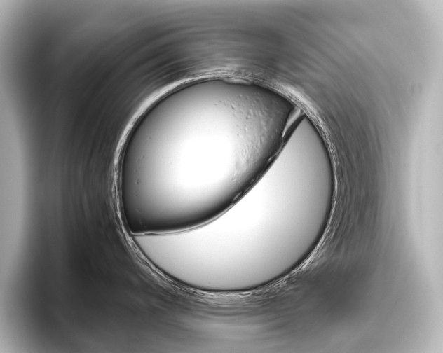 X0000096421200200801240957