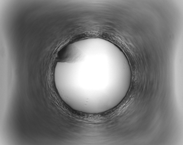 X0000096421201200801240956