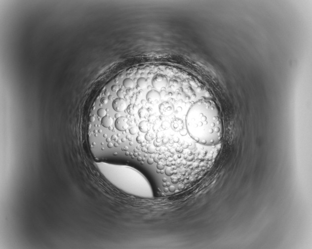 X0000096421205200801240956