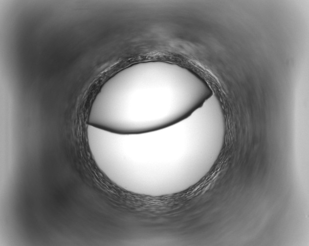 X0000096421207200801240956
