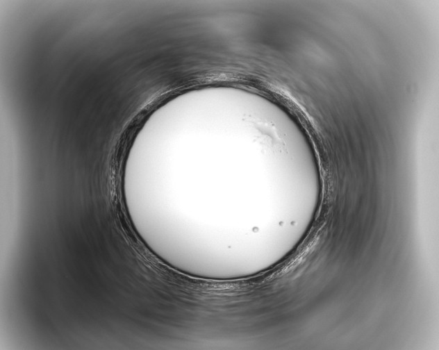 X0000096421211200801240957