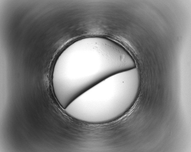X0000096421212200801240957