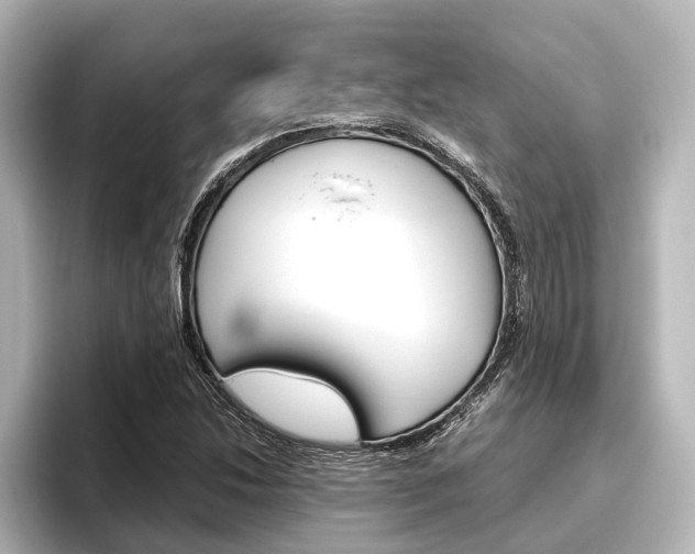 X0000096421214200801240957
