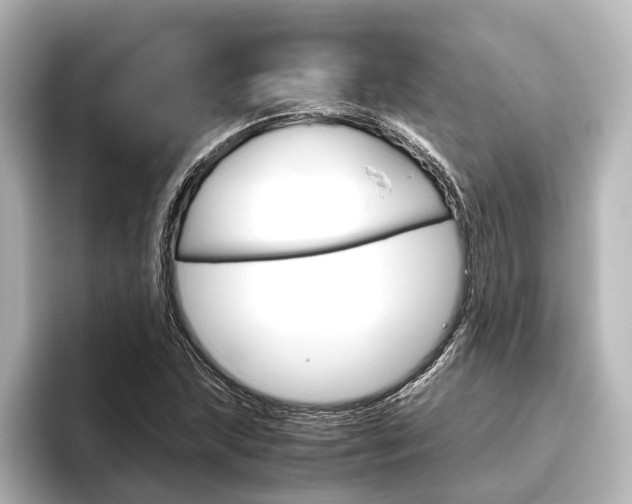 X0000096421215200801240957