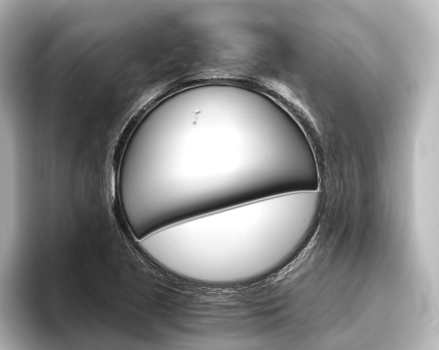 X0000096421221200801240957