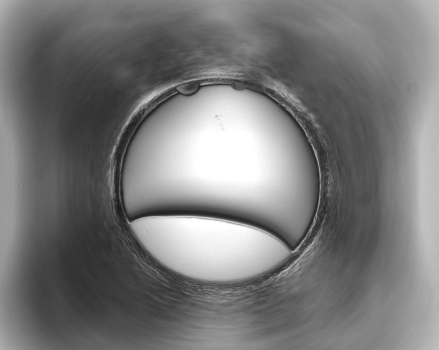 X0000096421222200801240957