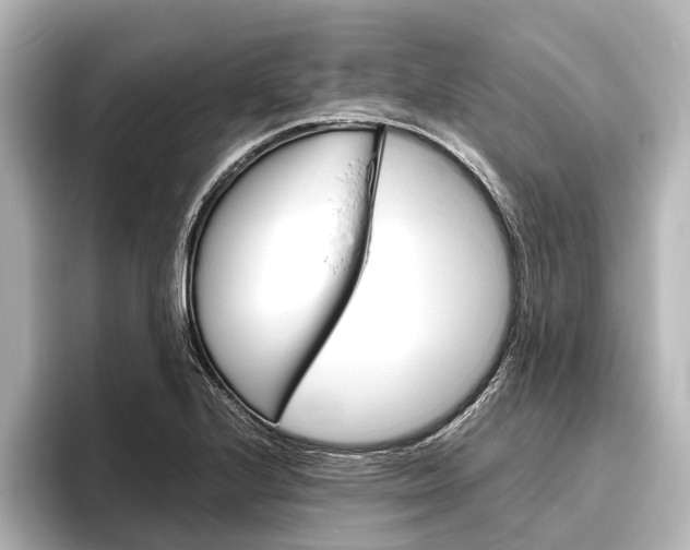 X0000096421224200801240957