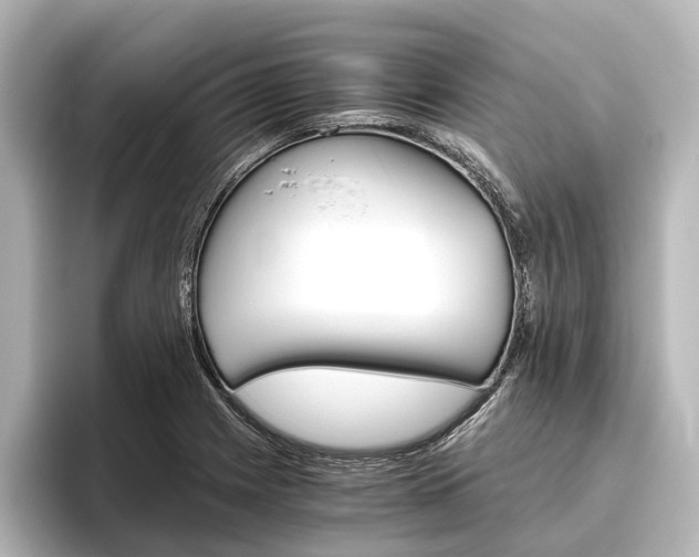 X0000096421225200801240957