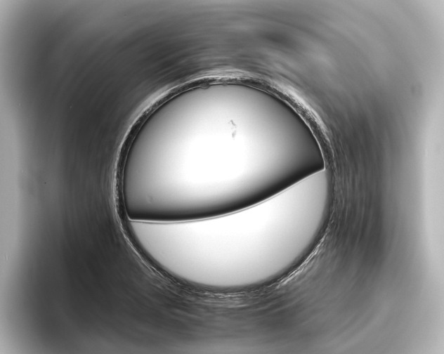 X0000096421229200801240957