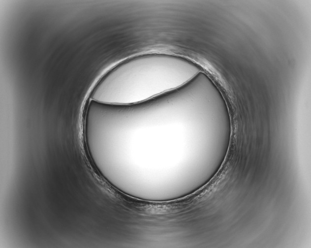 X0000096421232200801240957