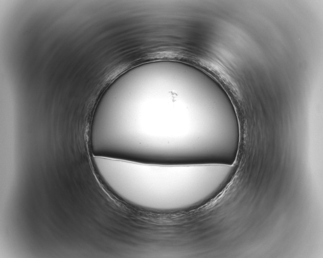 X0000096421233200801240957