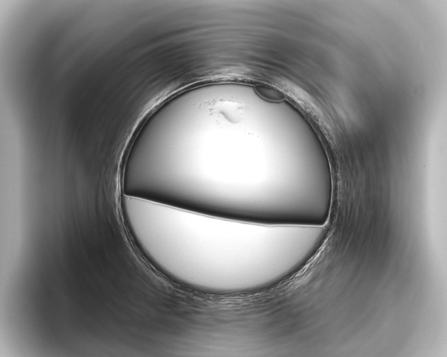 X0000096421234200801240957