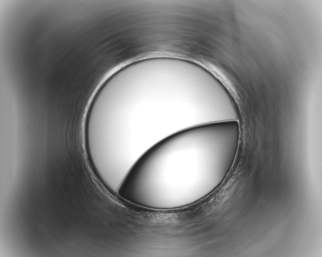 X0000096421238200801240957