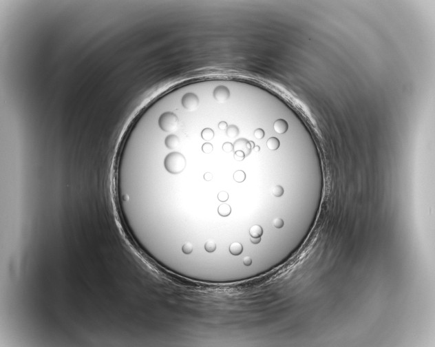 X0000096421239200801240957