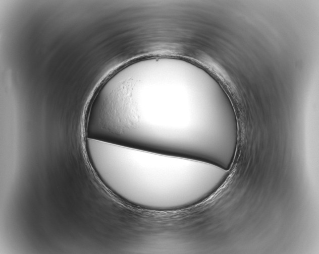 X0000096421240200801240957
