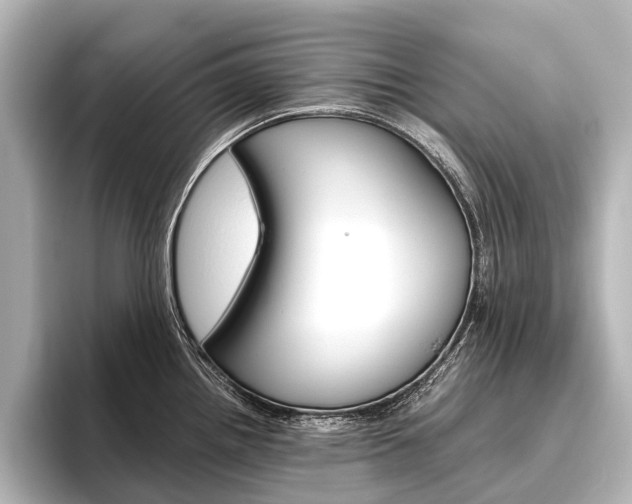 X0000096421242200801240957