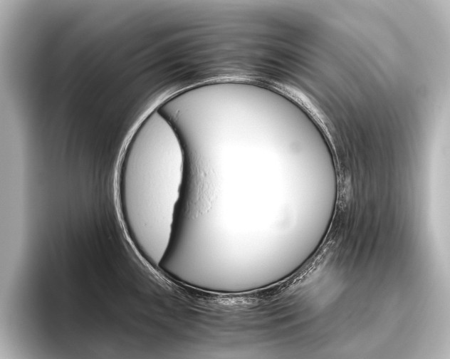 X0000096421243200801240957